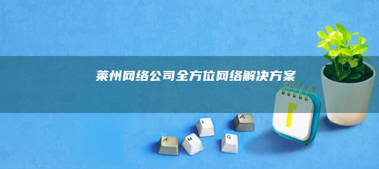 莱州网络公司 - 全方位网络解决方案