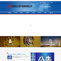 海南联合资产管理有限公司