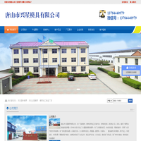 河北塑料模具,注塑模具,模具加工制造厂家-唐山市兴星模具有限公司