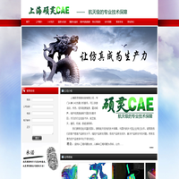 首页--上海硕灵CAE信息科技有限公司