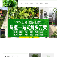 金坛绿植租赁_植物租摆_花卉盆景出租_园林绿化养护