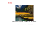 捡漏王