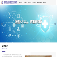 湖北和满正医药有限公司 | 中成药 | 化学药制剂