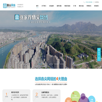 张家界网站制作_网络公司_网站建设_网站开发_落地页制作_竞价推广页制作_张家界做网站_鼎尖网络